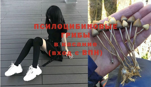 бошки Арсеньев